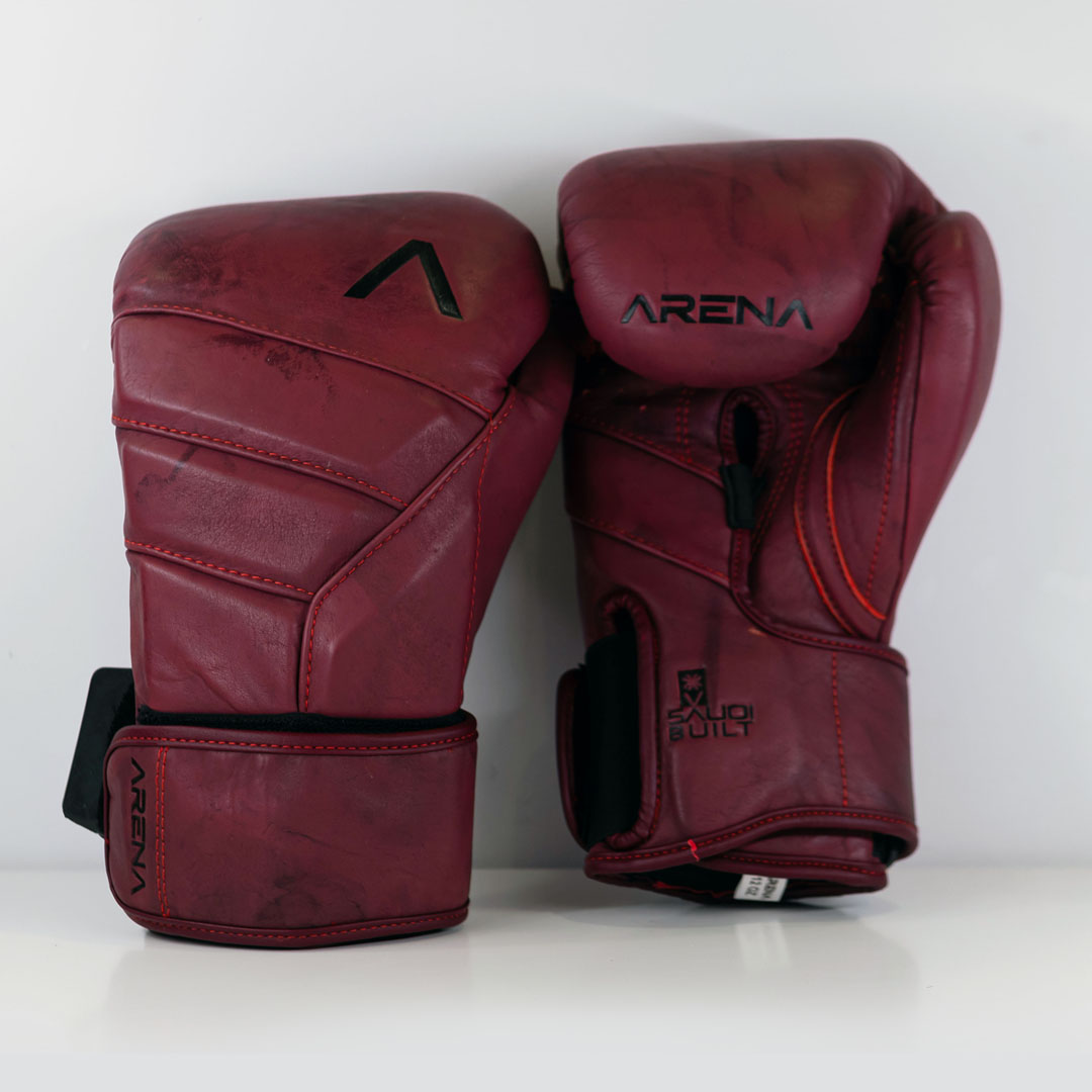 Arena Boxing Gloves